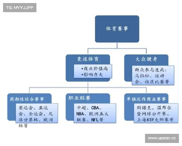 体育赛事活动管理实施细则