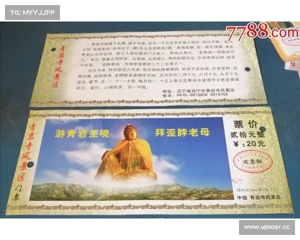 辽宁比赛门票 辽宁比赛门票